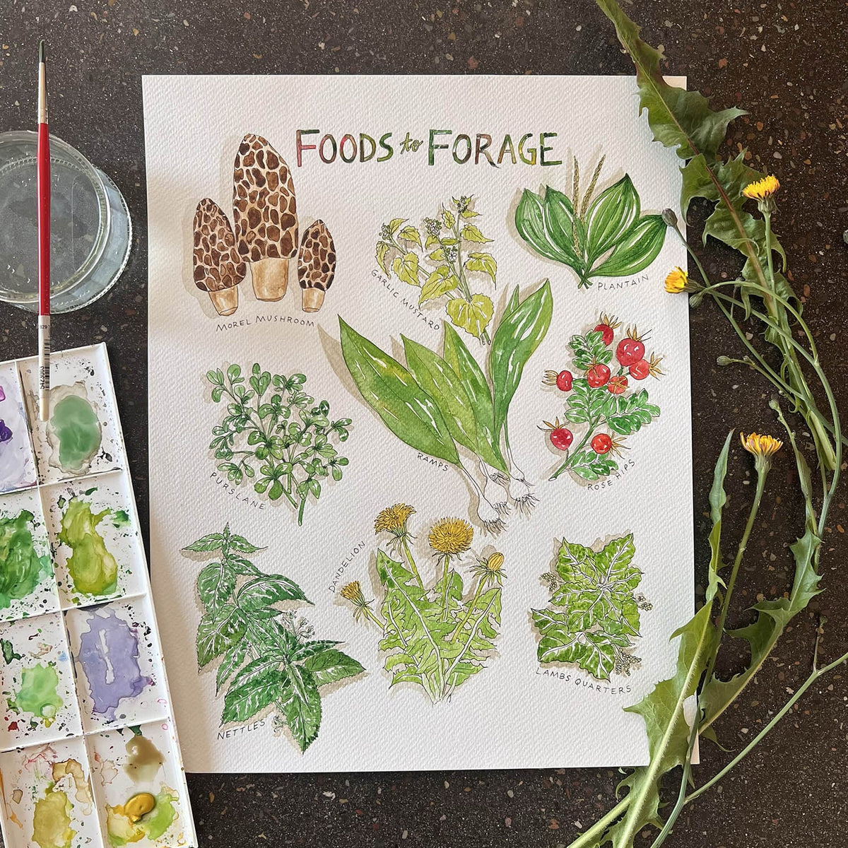 Art supplies including natural pigments and organic materials arranged for creative process