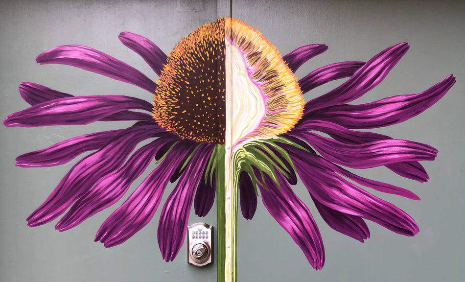 How You Heal Echinacea Mural