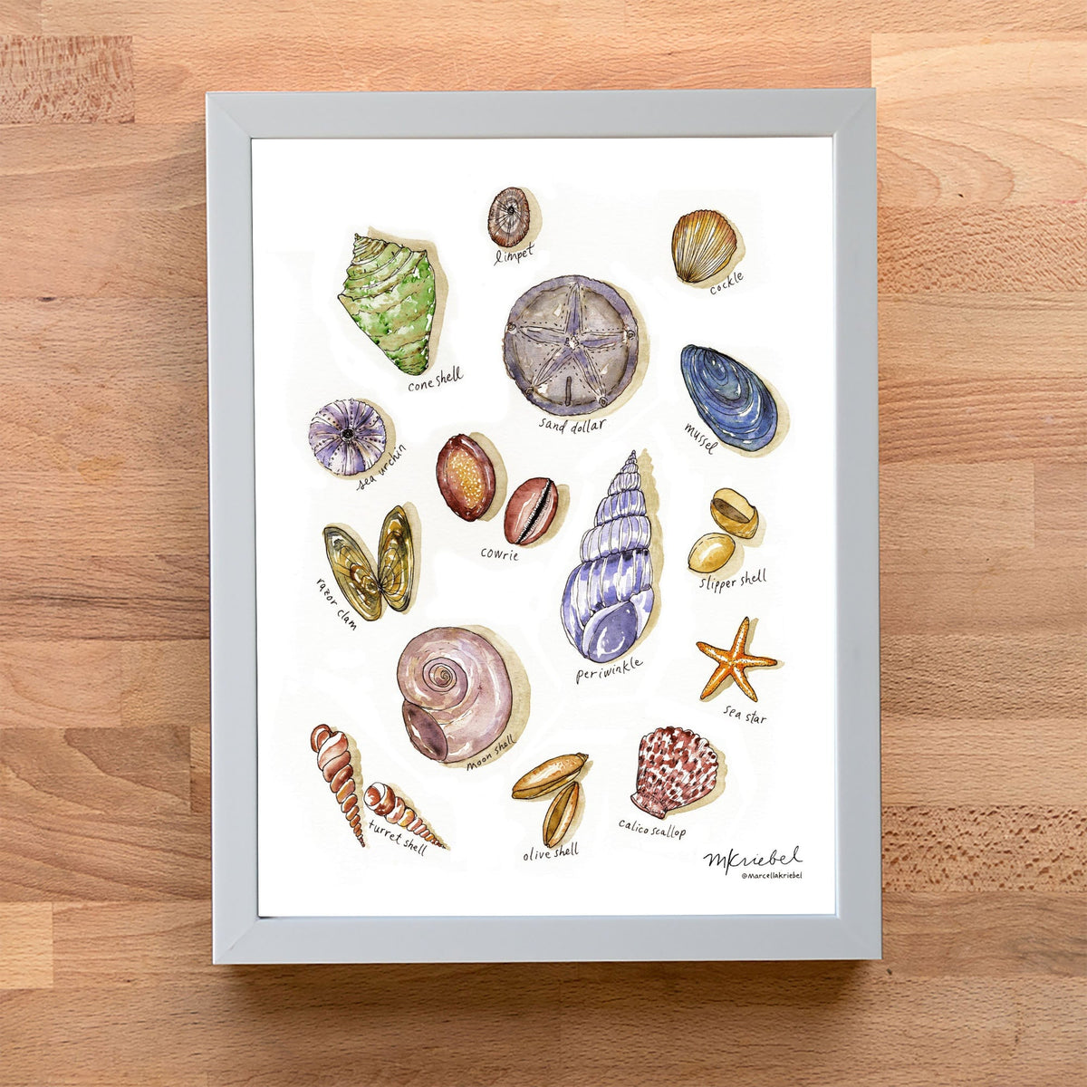 SeashellsWhiteAcrylicFrameWood