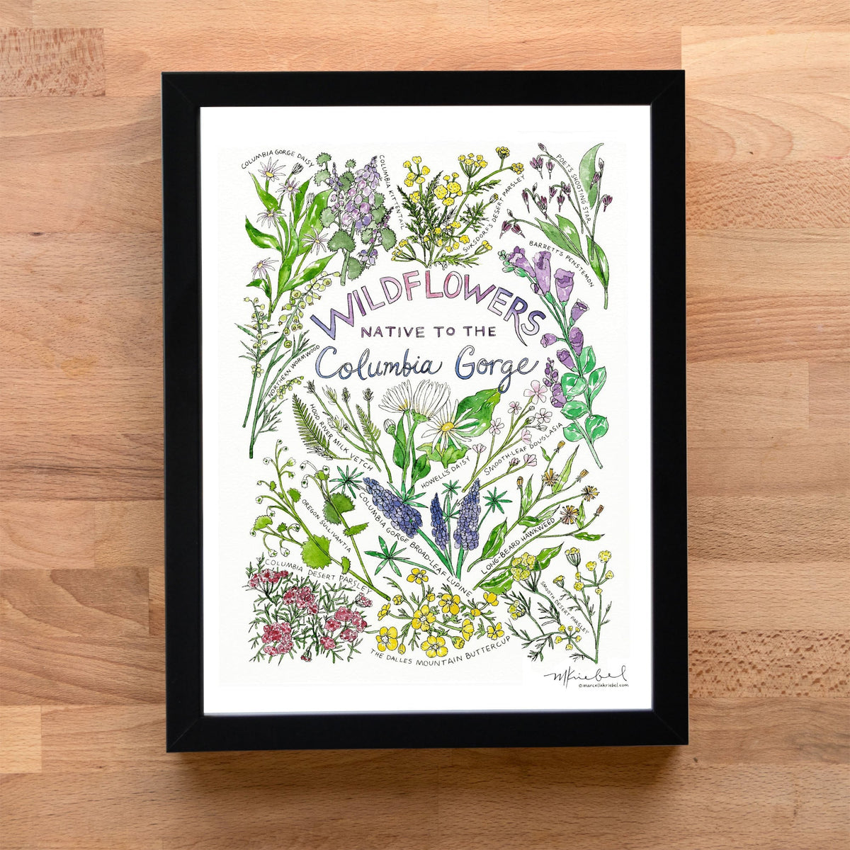 WildflowersoftheColumbiaGorgeB