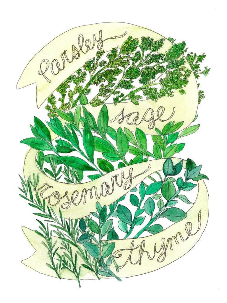 Herbs Set of 4 Watercolor Painting, Kitchen Prints, Sage Thyme