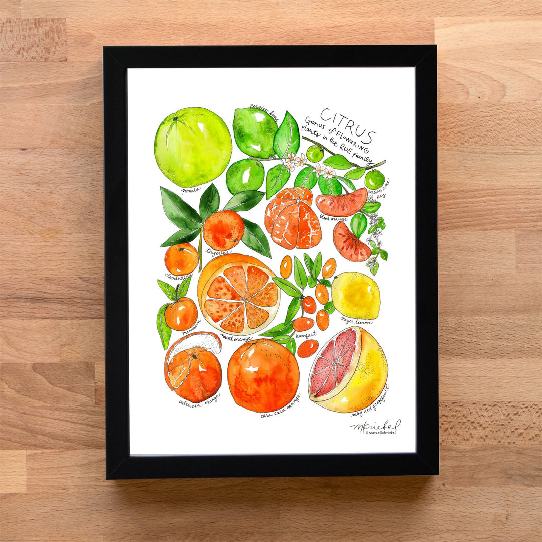 CitrusBlackAcrylicFrameWoodBac