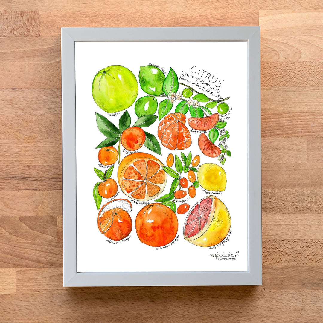 CitrusWhiteAcrylicFrameWoodBac