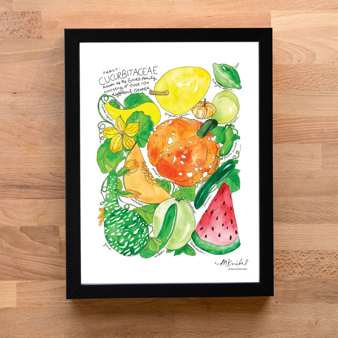 CucurbitaceaeBlackAcrylicFrame