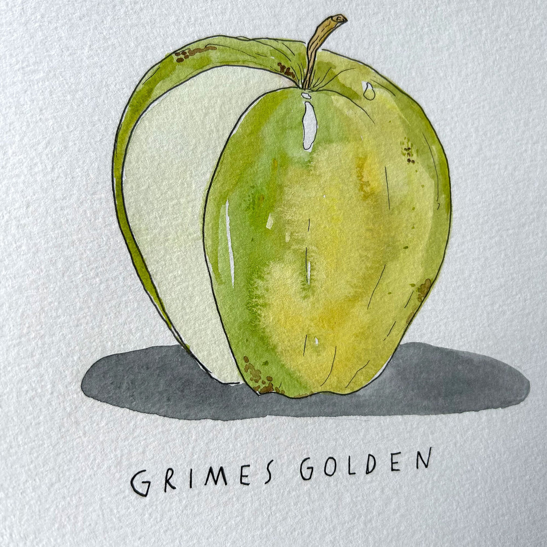 GrimesGoldenAppleOriginalDetai