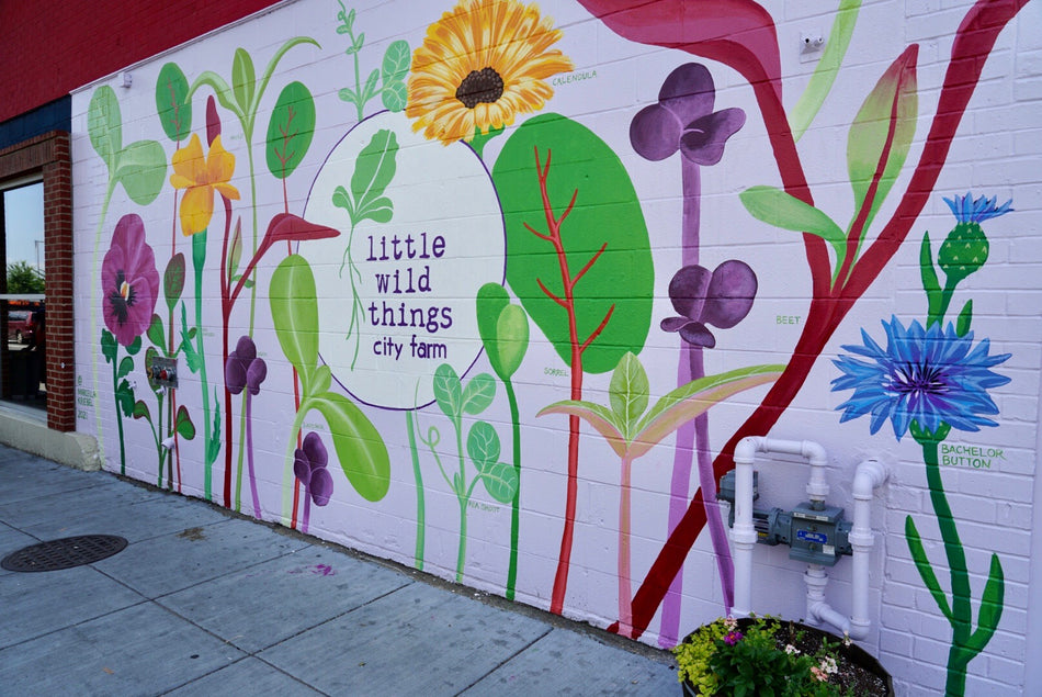 Little Wild Things City Farm Mural