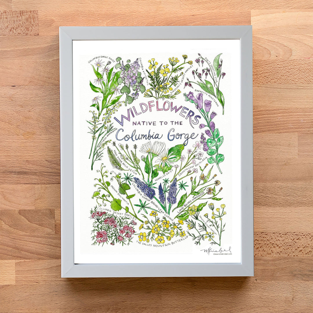 WildflowersoftheColumbiaGorgeW