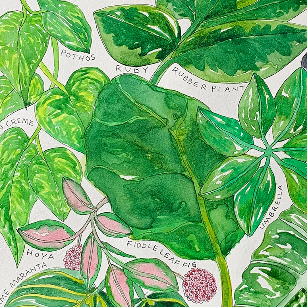 pothos watercolor Types of Houseplants Original Watercolor Painting